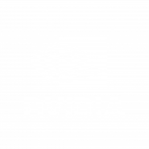 logos - all white_sponsor - nvidia